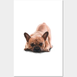 The French Bulldog Posters and Art